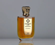 Load image into Gallery viewer, Unique Luxury Istanbul Sample