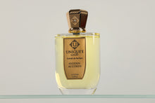 Load image into Gallery viewer, Unique Luxury Hidden Accords Sample