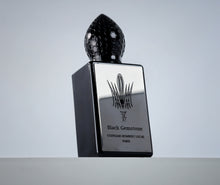 Load image into Gallery viewer, Stephane Humbert Lucas Black Gemstone Sample