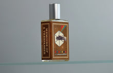 Load image into Gallery viewer, Imaginary Authors Memoirs of a Trespasser Sample