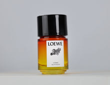 Load image into Gallery viewer, Loewe Paula&#39;s Ibiza Cosmic Sample
