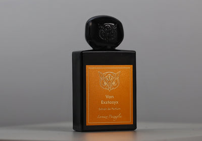 Lorenzo Pazzaglia Van Exstasyx Sample